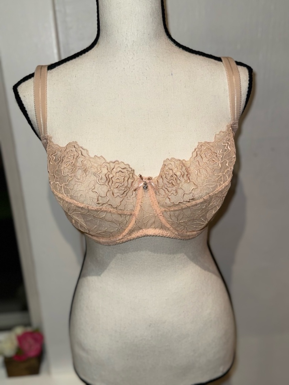Sheer Floral Lace Underwire Bra in Blush